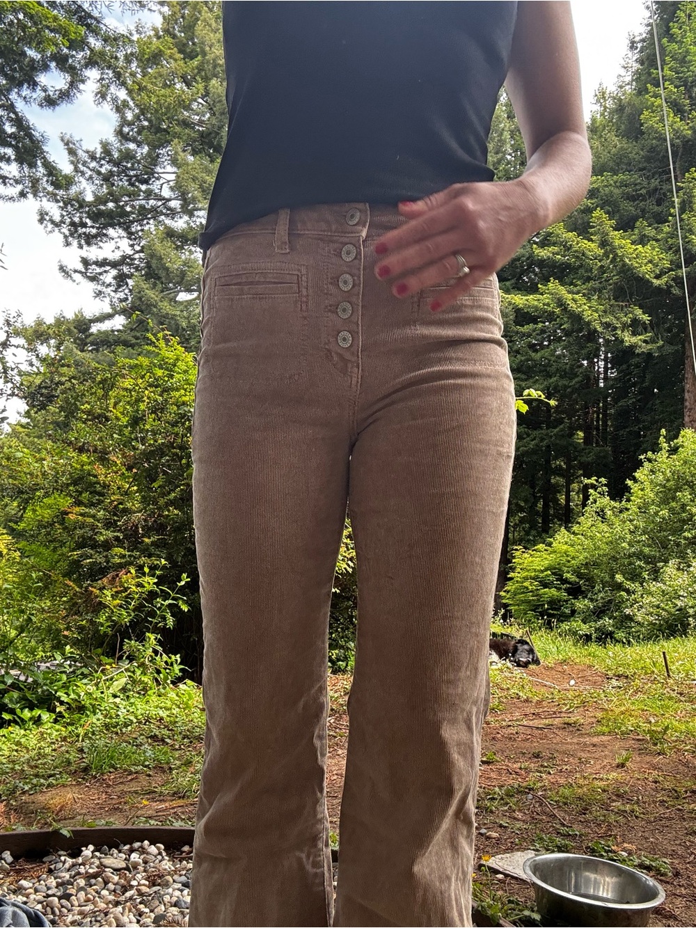 American Eagle Outfitters Brown Wide Leg Corduroy Pants